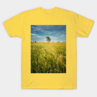 lone tree in the field T-Shirt